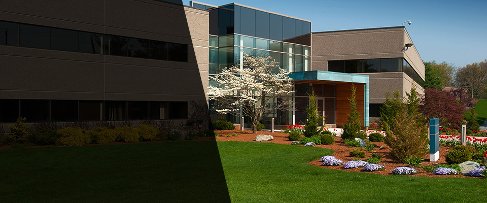 Peckville Landscapers