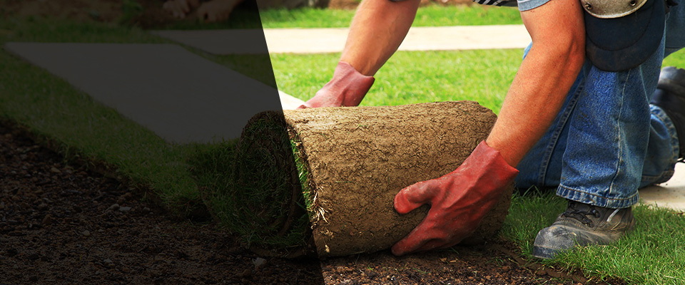 Peckville Landscapers